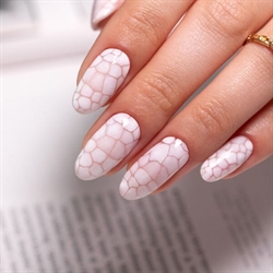 Aqua Gel, Molly Lac (u)